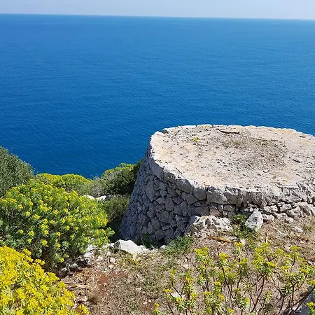 Bocca Del Pozzo *