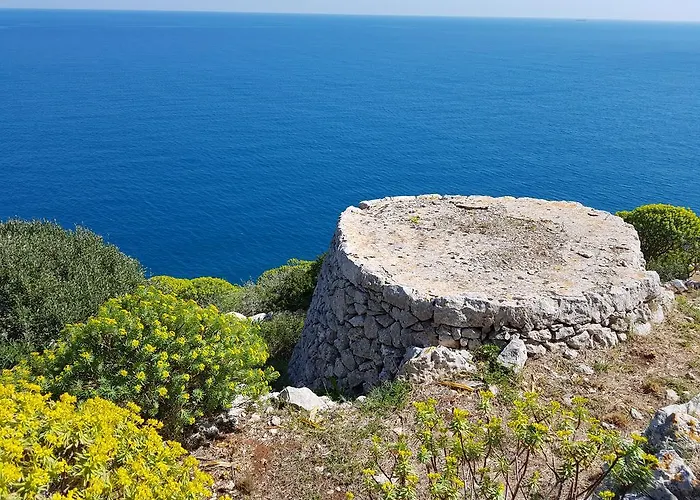 Bocca Del Pozzo *