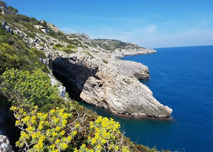 Bocca Del Pozzo 别墅 加利亚诺德尔卡波