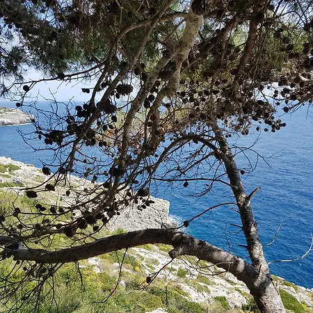 Bocca Del Pozzo *