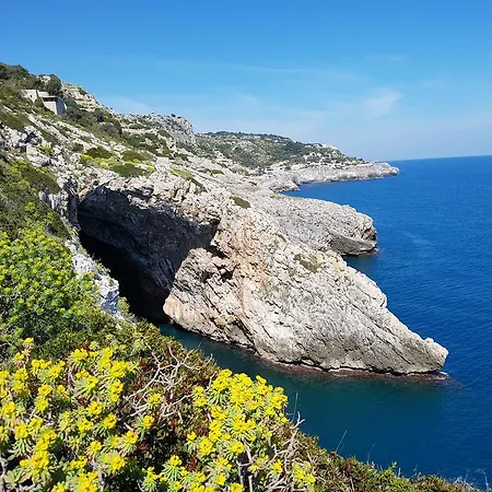 Bocca Del Pozzo فيلة غاليانو دل كابو