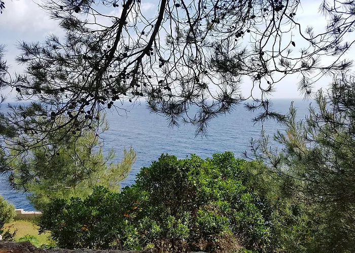 Bocca Del Pozzo